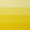 3013643015222-CHB ETCHING INK PERMANENT YELLOW LAKE 3013643015222 NUANCIER