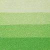 3013643015444-CHB ETCHING INK SPRING GREEN 3013643015444 NUANCIER