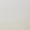 3013643015680-CHB ETCHING INK SNOW WHITE RS 3013643016243 [SWATCH]
